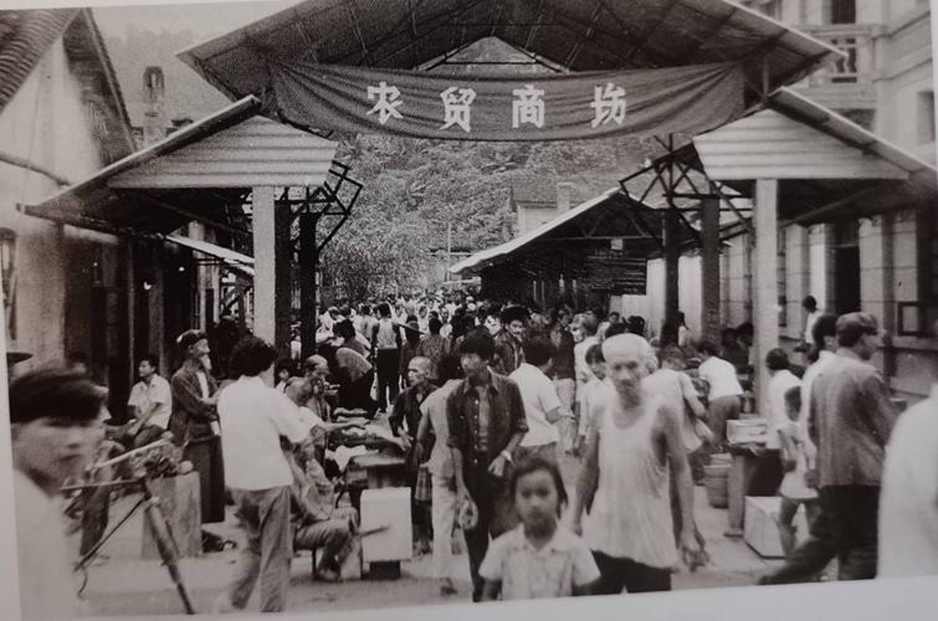 龙船庄商贸